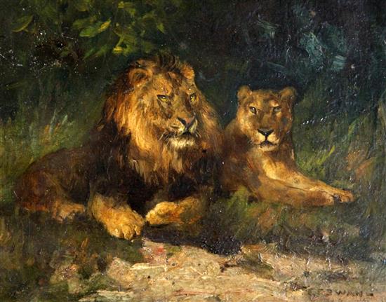 Cuthbert Edmund Swan (Irish, 1870-1931) Studies of lions and a tiger, 6.75 x 8.5in.